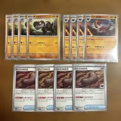 チゴラス　ガチゴラス　古びたアゴの化石　12枚　進化ライン　ムニキスゼロ