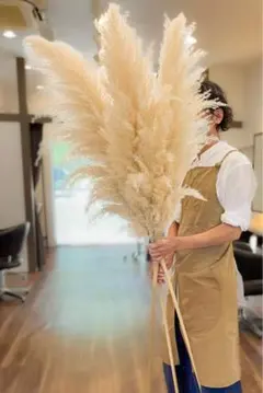 2025年最新】パンパスグラス 特大の人気アイテム - メルカリ