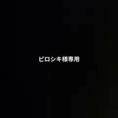 ピロシキ様専用