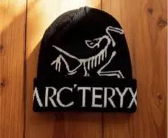 n*o様 ビーニー　ニット帽　帽子　スケーター y2k グランジ