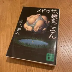 メドゥーサ、鏡をごらん 井上夢人