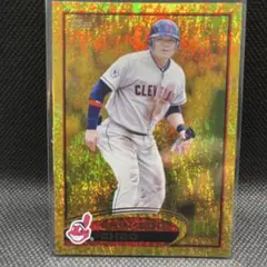 【必ずまとめ割引き】Topps gold sparkle 秋信守