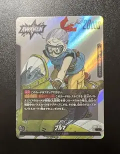 フュージョンワールド ブルマ SB01-045 L