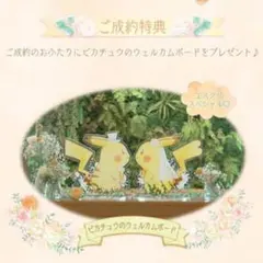2025年最新】ピカチュウウェルカムボードの人気アイテム - メルカリ