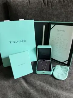 ニック⭐︎さん専用】 Tiffany Tワイヤー 18K AU750 Mサイズ - メルカリ