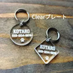 Item thumbnail for item 1a607c9d-c085-4876-8017-db8c22763645