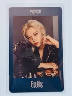 Straykids FORCE フィリックス フォトカード
