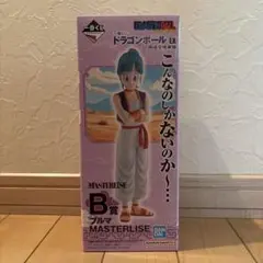 さ*ち様 一番くじ ドラゴンボール EX 孫悟空修業編 B賞 ブルマ