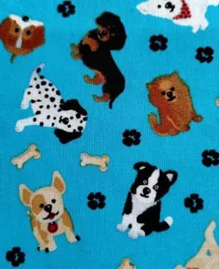 Item thumbnail for item 19083e37-bfd9-4481-9130-d862b7310eb5