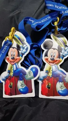 ミッキーマウス チケットケース ストラップ　２個