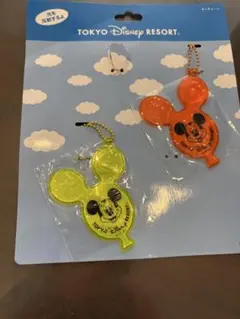ディズニーランドお土産⭐︎キーホルダー2個セット