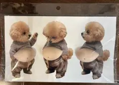 3mam様 リクエスト 2点 まとめ商品