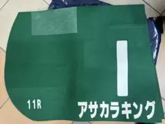 実使用ゼッケン 乗馬