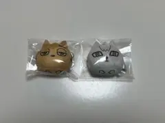 ハイキュー!!JF2024 トレーディング動物マスコッ宮侑 北信介