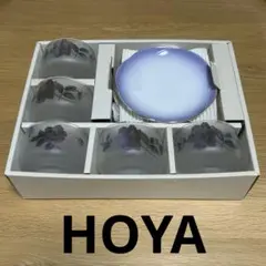 【HOYA PORCELAIN】冷茶カップ&ソーサー　5客セット