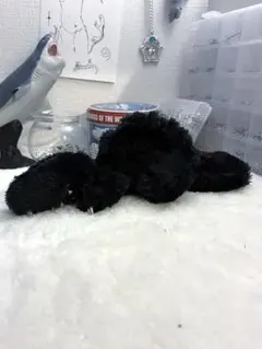 Item thumbnail for item 51a241b3-a6ca-4f47-80ef-1e8e17f2ff08