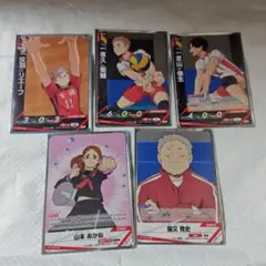 ハイキュー!!バボカ　音駒高校５枚セット　アニマルカードスリーブ付