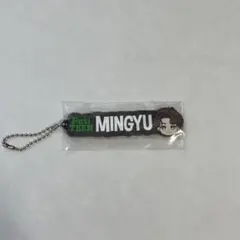 SEVENTEEN Peti TEEN ミンギュ　ラバーチャーム