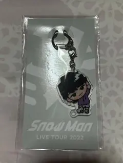 すのチル アクリルキーホルダー 深澤辰哉