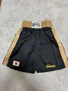 Item thumbnail for item 2c84e15d-502d-404b-89da-82bb9ea2a4fd