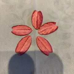 Item thumbnail for item e901a730-2ac4-4a61-84df-4d477f1a5ff3