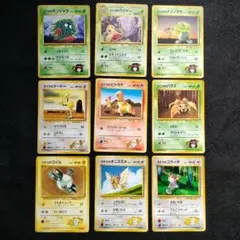 旧裏 マチス エリカ カツラ マークなし