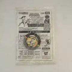 ポケモンカード 映画 アルセウス超克の時空へ　入場特典