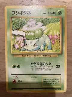 ポケモンカード 旧裏 フシギダネ　マークなし