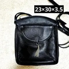 ブラック　ショルダーバッグ　ポーチバッグ　レザー　美品
