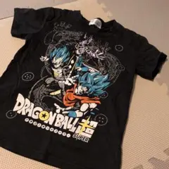 Item thumbnail for item 9d04b902-51c6-415d-b926-cdfabf19abf6