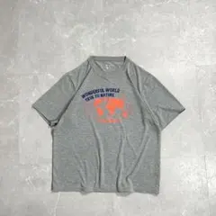 FoxFire tシャツ グレー XL 地球 アース アウトドア メンズ 半袖のサムネイル