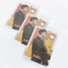 豹_3枚セット_SAKAMOTODAYS