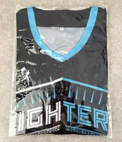 Item thumbnail for item c4a4a0bb-5b40-412e-bead-b4bc4fb6b40a