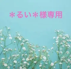 ＊るい＊様専用