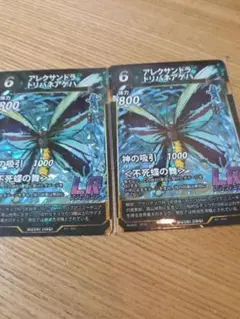 アレクサンドラトリバネアゲハ　2枚　lr
