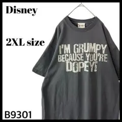 海外規格 ディズニー 白雪姫 7人のこびと グランピー Tシャツ グレー 2XLのサムネイル