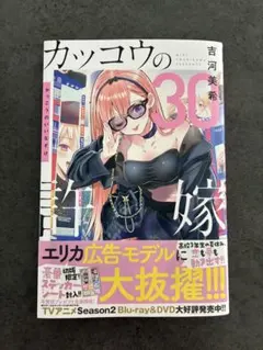 Item thumbnail for item 0579c2c6-1a39-4f53-b311-fe152772618d