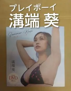 プレイボーイ　DVD 溝端葵