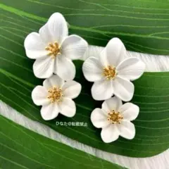 Item thumbnail for item 117de495-4d73-4bd8-a9f8-f4aa5eed9c54