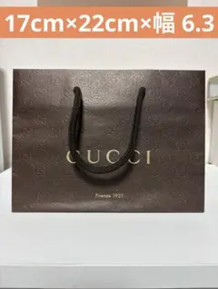 GUCCI ブラウン ショッピングバッグ17cm×22cm×幅 6.3