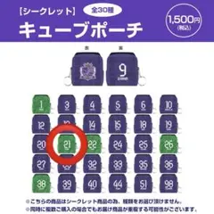 サンフレッチェ広島 シークレット 25 プレイヤーズキューブポーチ 田中雄大