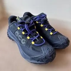 25.0 NIKE×ACG Mountain Fly2 Low GORE-TEXのサムネイル