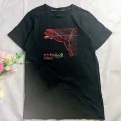 プーマ Tシャツ Mサイズ 速乾 ドライ FOREVER FASTER スポーツ