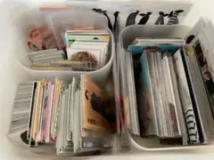 Myojo データカード　厚紙　まとめ売り