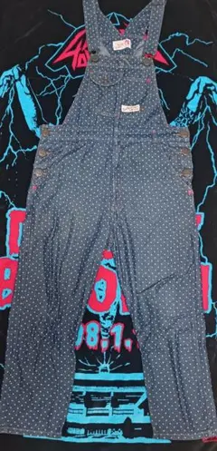 タグ付き未使用品 candy stripper オーバーオール イチゴ デニム Candy Stripper（サロペット/オーバーオール）のフリマアイテム一覧