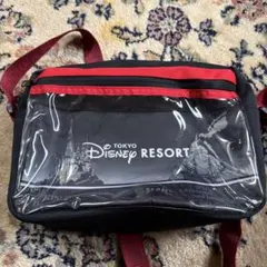 東京ディズニーリゾート ミートミッキー　ミッキーマウス バッグ