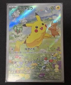 2025年最新】夏 プロモ ピカチュウの人気アイテム - メルカリ