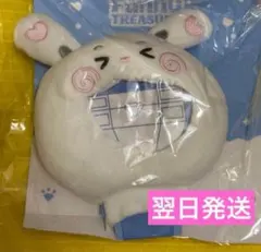 TREASURE REBOOT ソウルコン ペンライトカバー　ドヨン　のみ