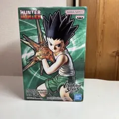 HUNTER HUNTER VIBRATION STARS ゴン
