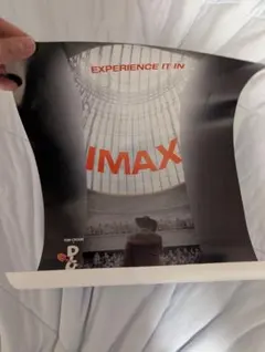 DIGGER/ディガー IMAX 特典 ポスター A